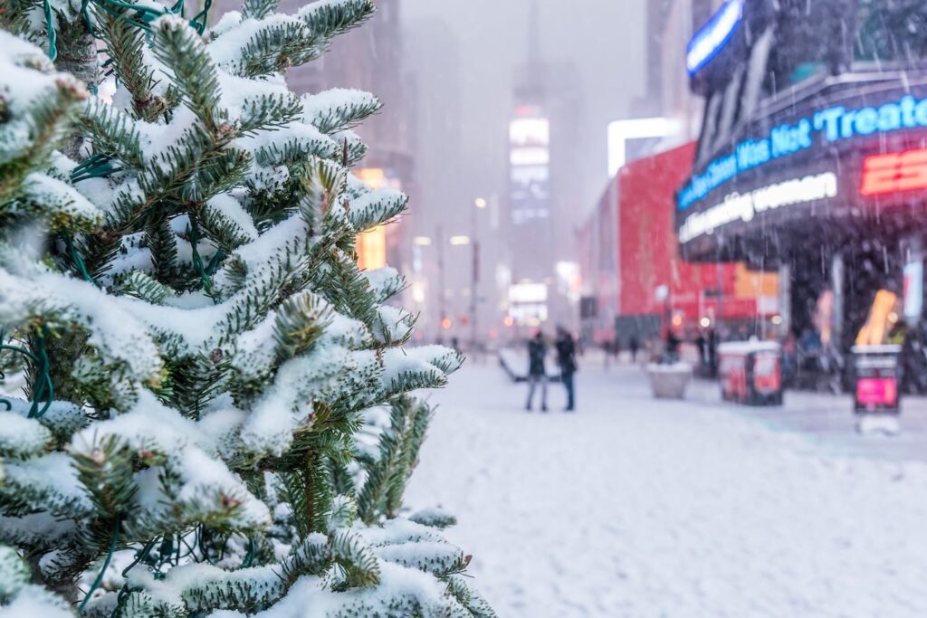 How to Prepare for Winter in New York and Protect Your Home